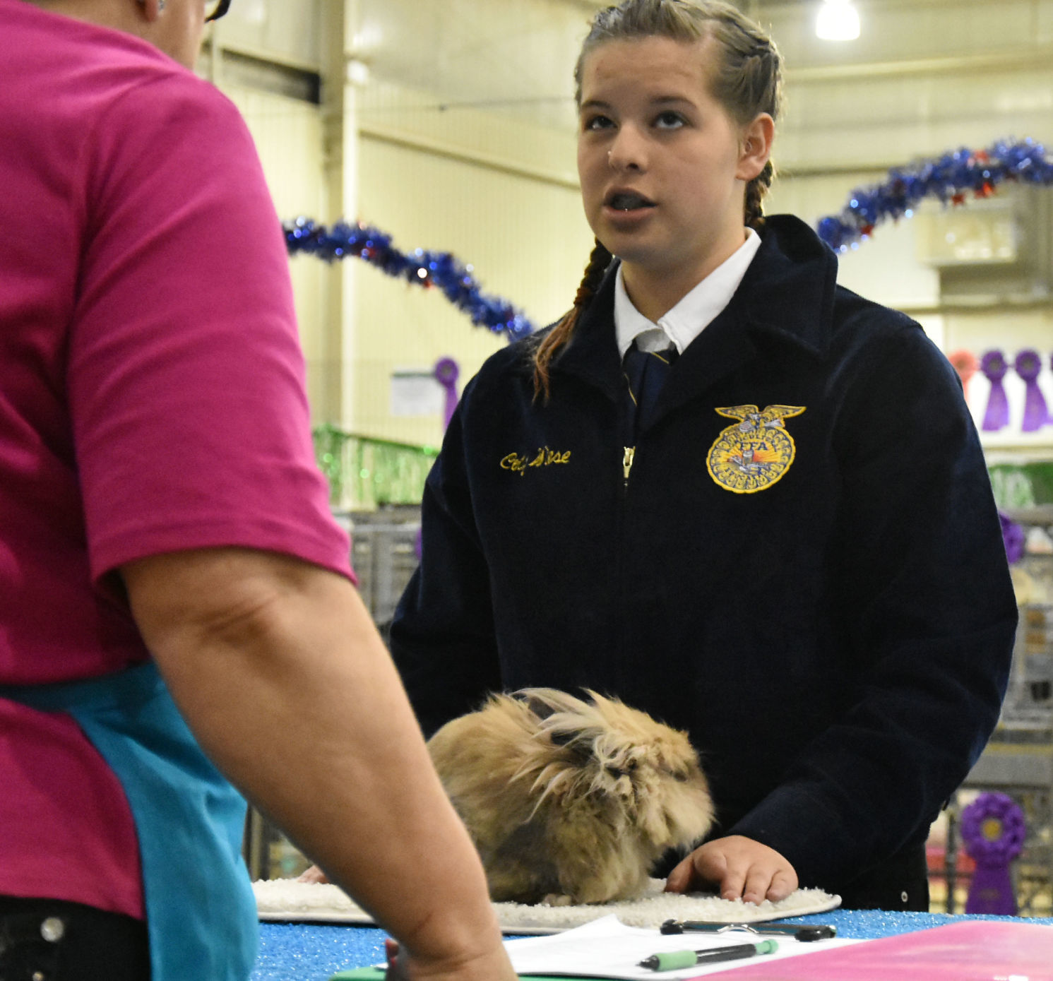 Rabbit Show